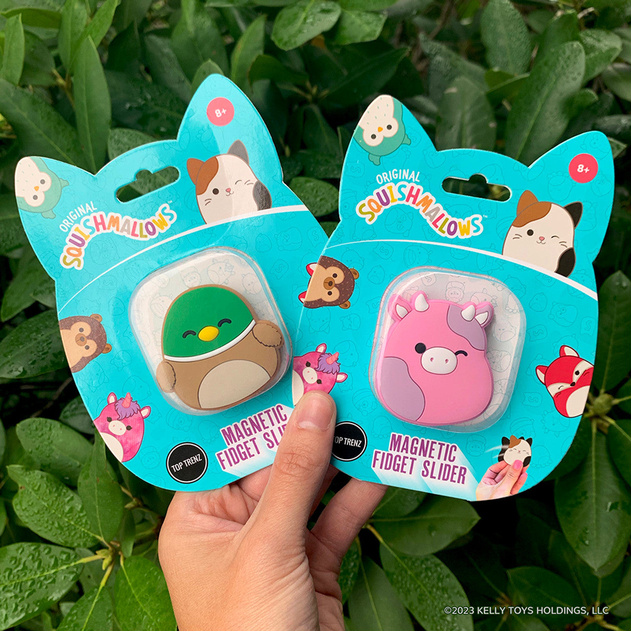 Magnetic Fidget Sliders - Squishmallows Collection – All Dolled Up